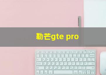 勒芒gte pro